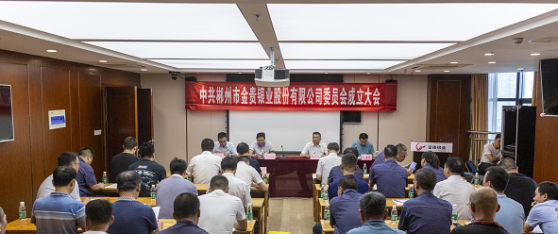 中共郴州市金贵银业股份有限公司委员会成立大会顺利召开